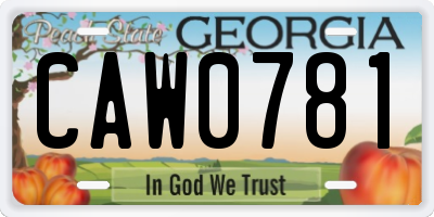 GA license plate CAW0781