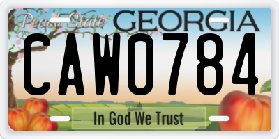 GA license plate CAW0784