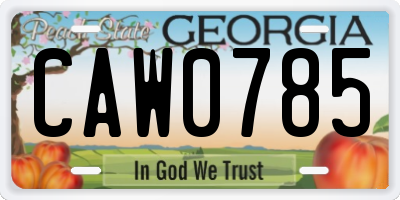 GA license plate CAW0785