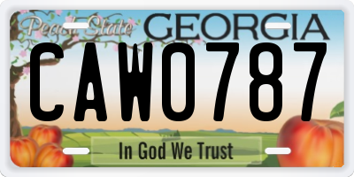 GA license plate CAW0787