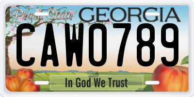 GA license plate CAW0789