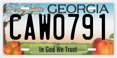 GA license plate CAW0791