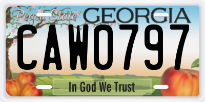 GA license plate CAW0797