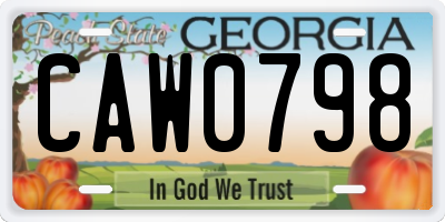 GA license plate CAW0798