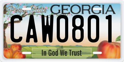 GA license plate CAW0801