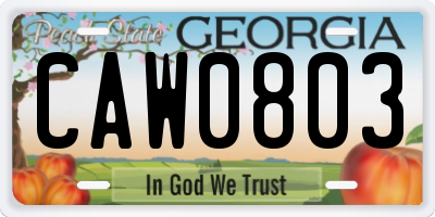 GA license plate CAW0803