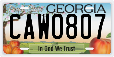 GA license plate CAW0807