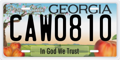 GA license plate CAW0810