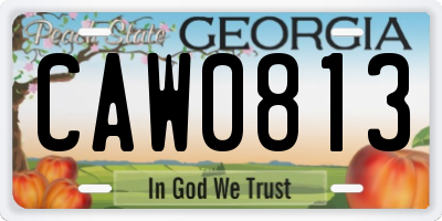 GA license plate CAW0813