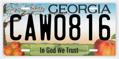 GA license plate CAW0816