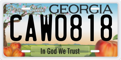 GA license plate CAW0818