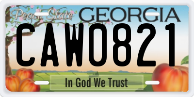 GA license plate CAW0821