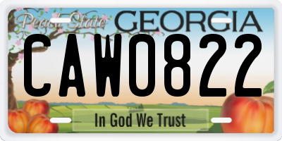 GA license plate CAW0822