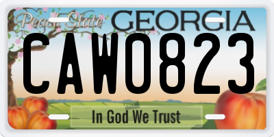 GA license plate CAW0823
