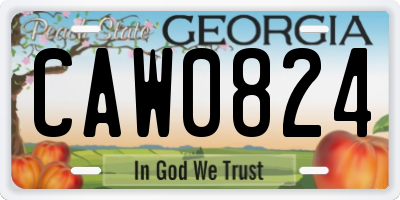 GA license plate CAW0824