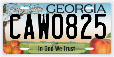 GA license plate CAW0825