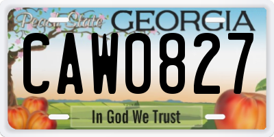 GA license plate CAW0827