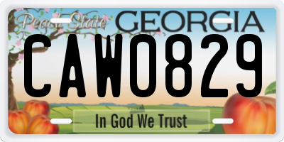 GA license plate CAW0829