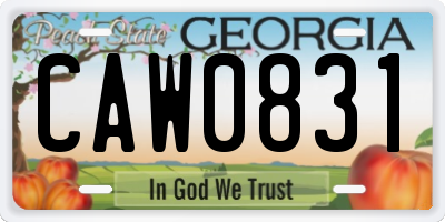 GA license plate CAW0831