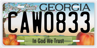 GA license plate CAW0833