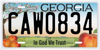 GA license plate CAW0834