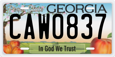 GA license plate CAW0837