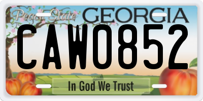 GA license plate CAW0852