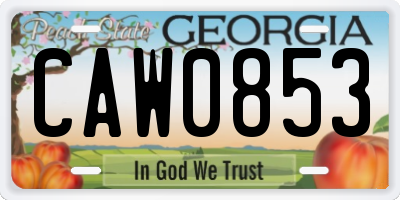GA license plate CAW0853