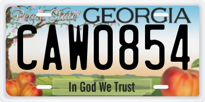 GA license plate CAW0854
