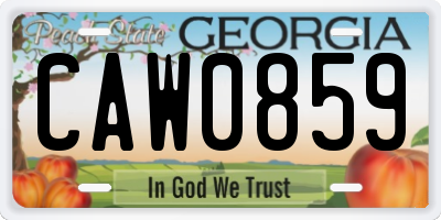 GA license plate CAW0859