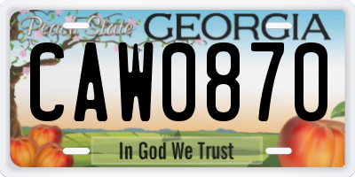 GA license plate CAW0870