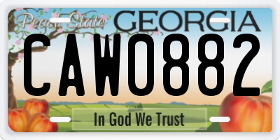 GA license plate CAW0882