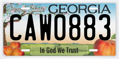 GA license plate CAW0883