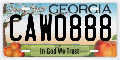GA license plate CAW0888