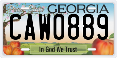 GA license plate CAW0889