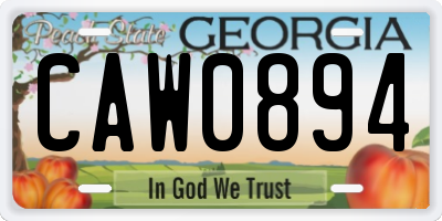 GA license plate CAW0894