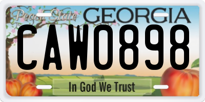 GA license plate CAW0898