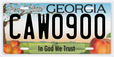 GA license plate CAW0900