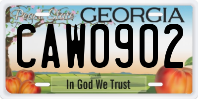 GA license plate CAW0902