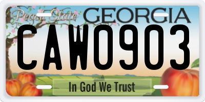 GA license plate CAW0903