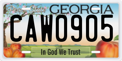 GA license plate CAW0905