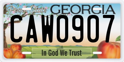 GA license plate CAW0907