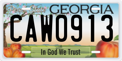 GA license plate CAW0913