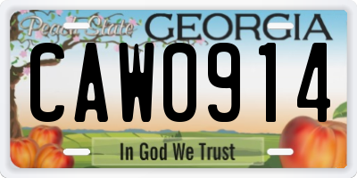 GA license plate CAW0914