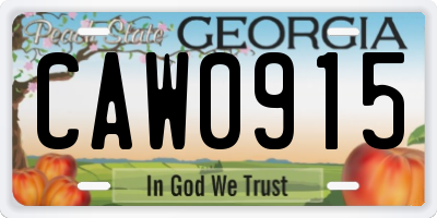 GA license plate CAW0915