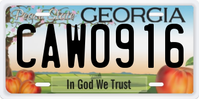 GA license plate CAW0916