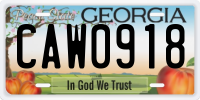 GA license plate CAW0918