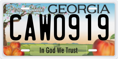 GA license plate CAW0919