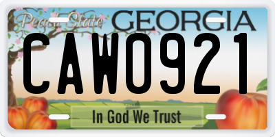 GA license plate CAW0921