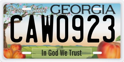 GA license plate CAW0923